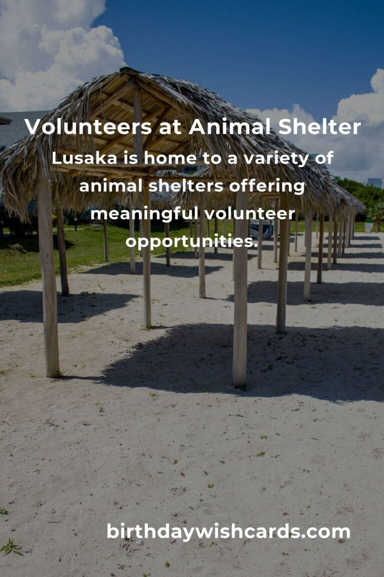 Discover the Best Animal Shelter Volunteer Programs in Lusaka