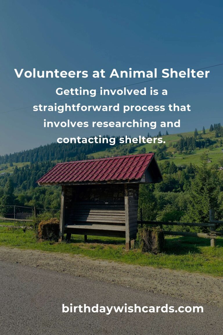 Discover the Best Animal Shelter Volunteer Programs in Lusaka