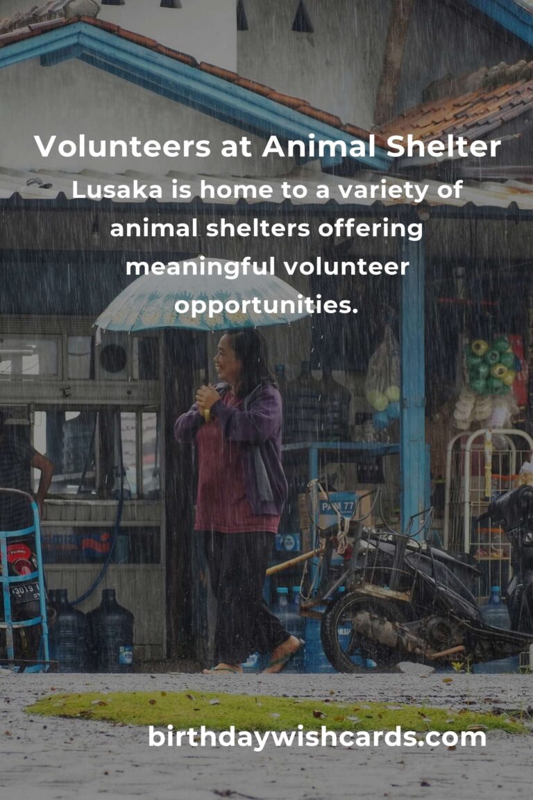 Discover the Best Animal Shelter Volunteer Programs in Lusaka