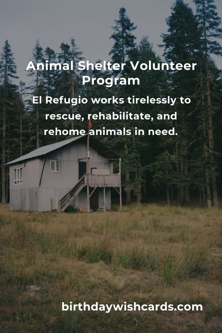Discover the Best Animal Shelter Volunteer Programs in Madrid