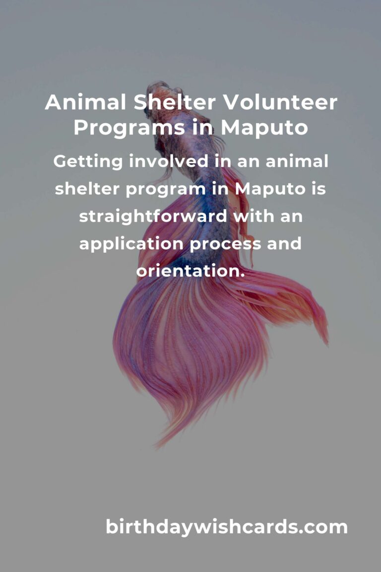 Discover the Best Animal Shelter Volunteer Programs in Maputo