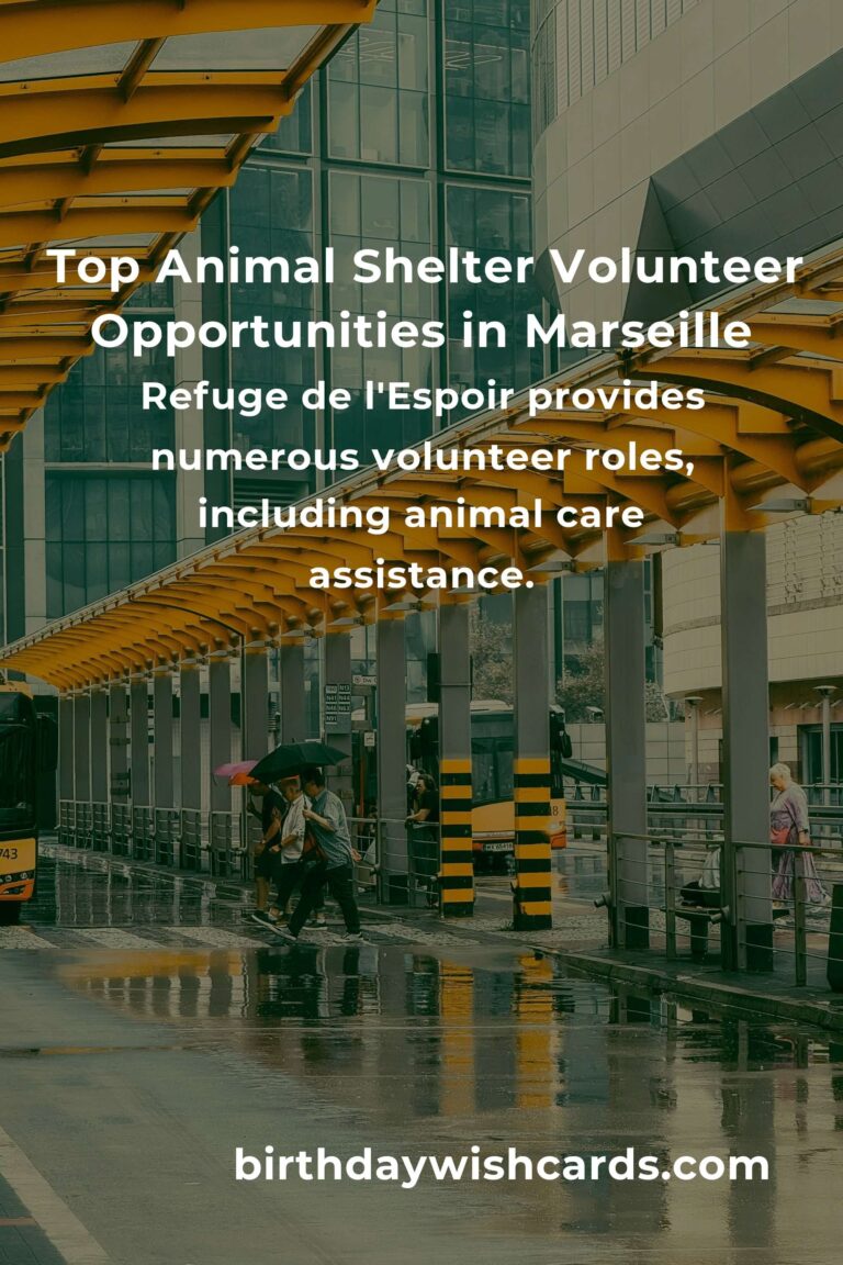 Discover the Best Animal Shelter Volunteer Programs in Marseille