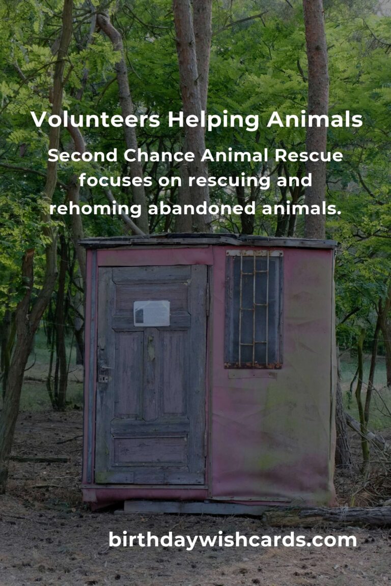 Discover the Best Animal Shelter Volunteer Programs in Melbourne