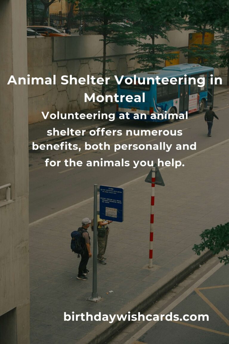 Discover the Best Animal Shelter Volunteer Programs in Montreal