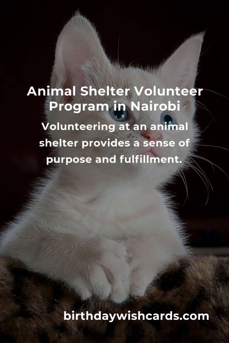 Discover the Best Animal Shelter Volunteer Programs in Nairobi