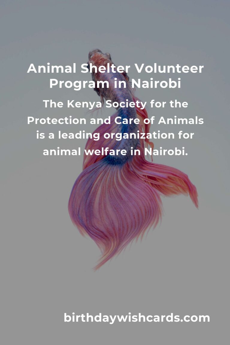 Discover the Best Animal Shelter Volunteer Programs in Nairobi