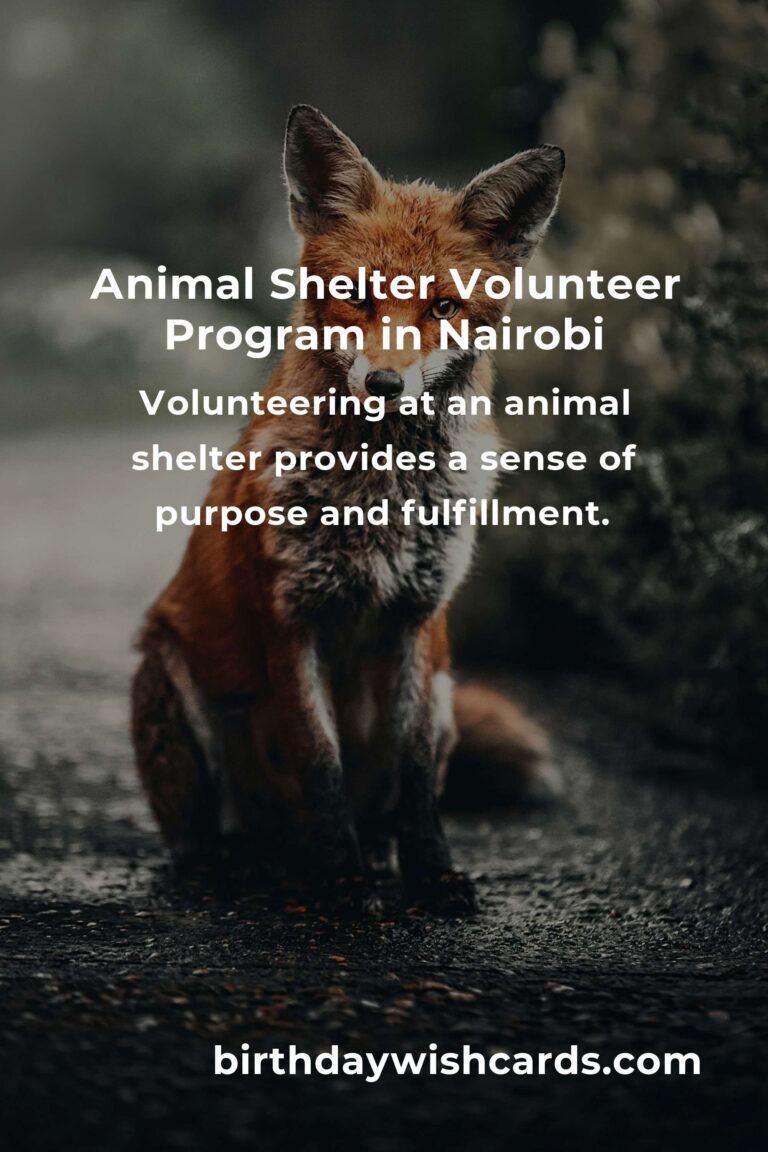 Discover the Best Animal Shelter Volunteer Programs in Nairobi