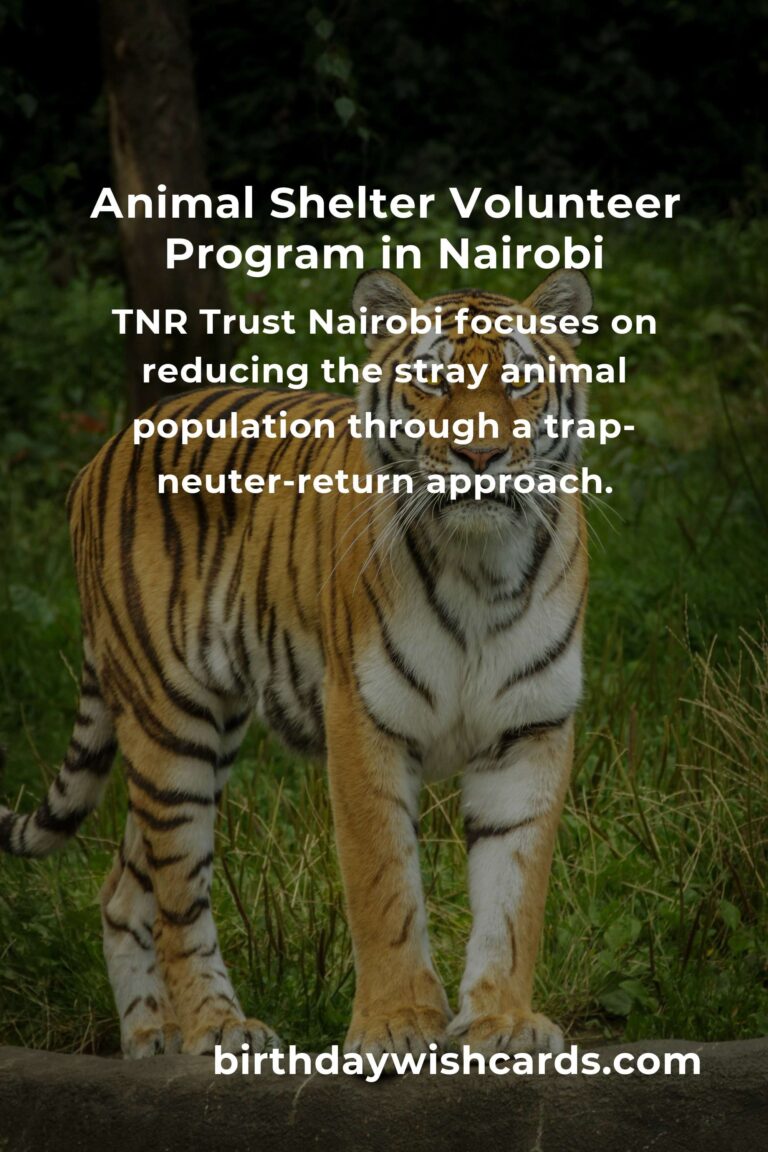 Discover the Best Animal Shelter Volunteer Programs in Nairobi