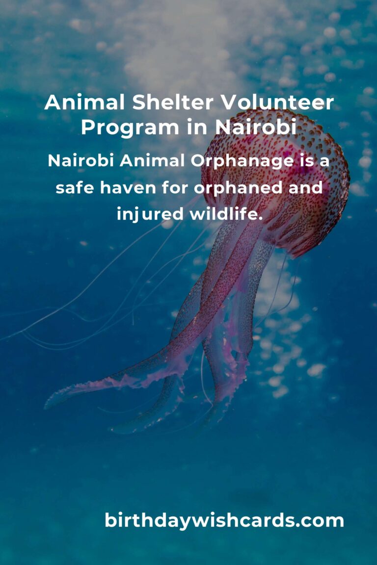Discover the Best Animal Shelter Volunteer Programs in Nairobi