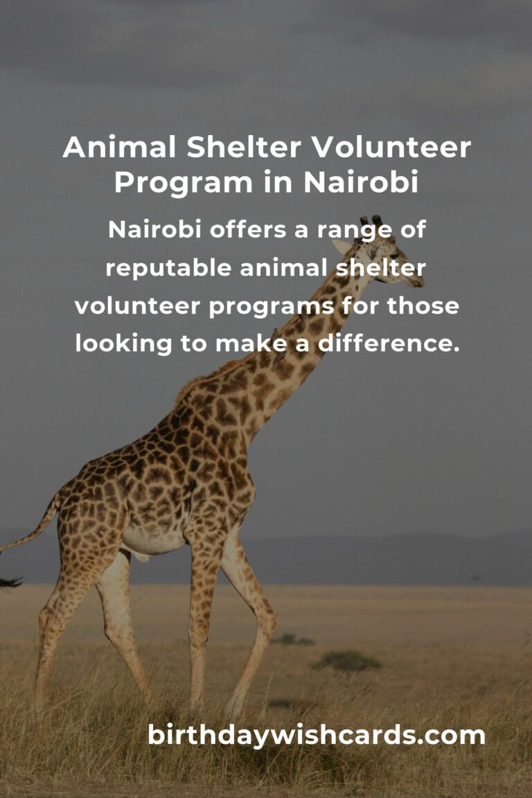 Discover the Best Animal Shelter Volunteer Programs in Nairobi
