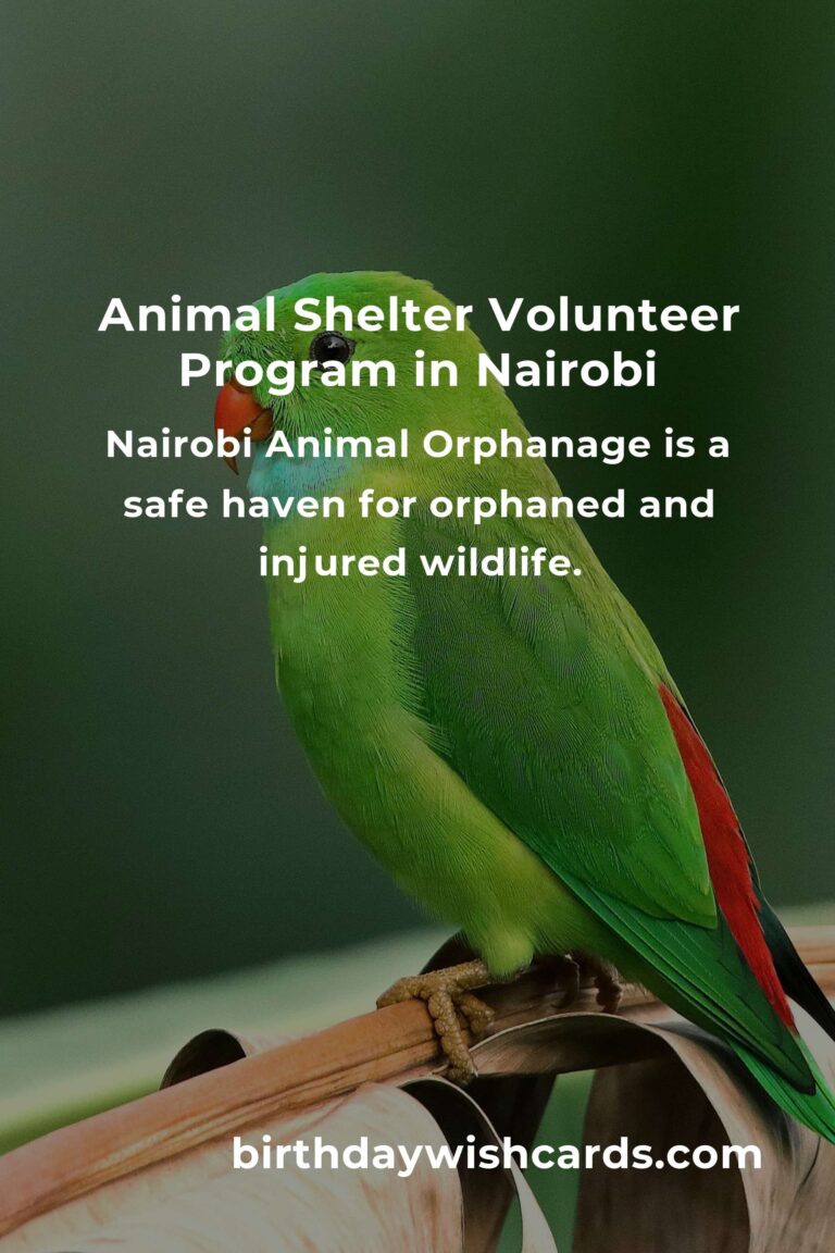 Discover the Best Animal Shelter Volunteer Programs in Nairobi
