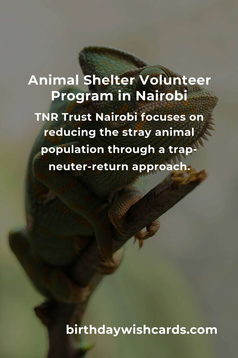 Discover the Best Animal Shelter Volunteer Programs in Nairobi