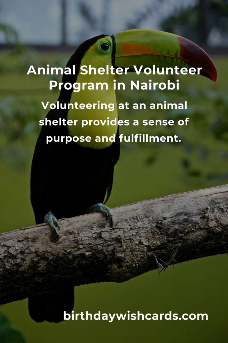 Discover the Best Animal Shelter Volunteer Programs in Nairobi
