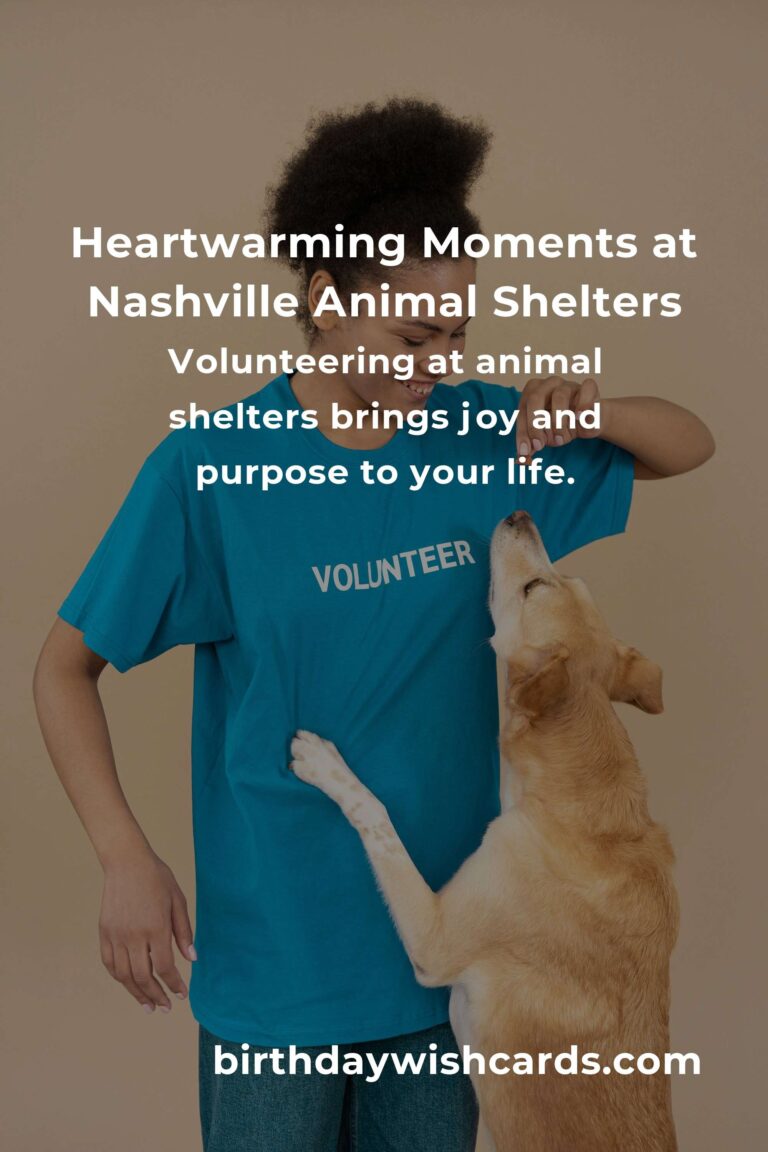 Discover the Best Animal Shelter Volunteer Programs in Nashville: Change Lives, Feel the Love