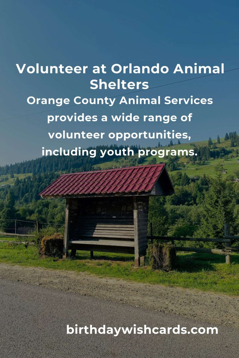 Discover the Best Animal Shelter Volunteer Programs in Orlando