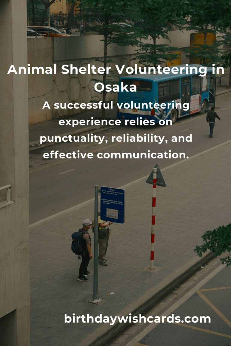 Discover the Best Animal Shelter Volunteer Programs in Osaka