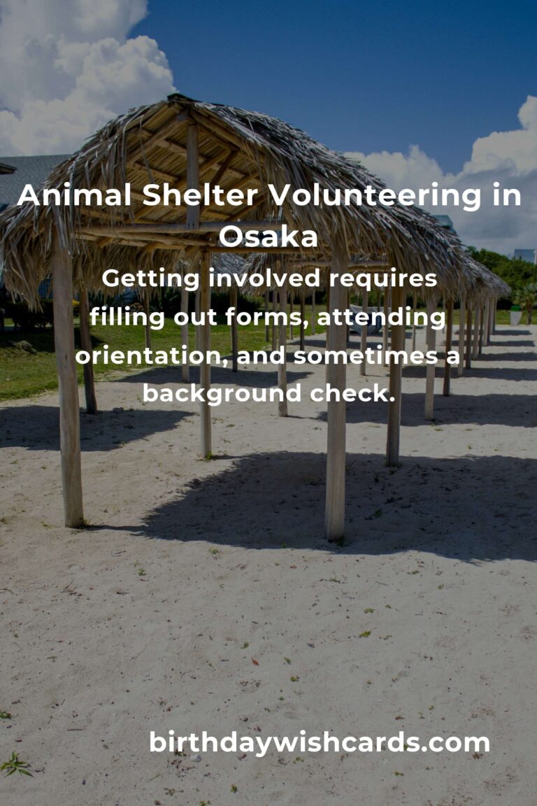 Discover the Best Animal Shelter Volunteer Programs in Osaka