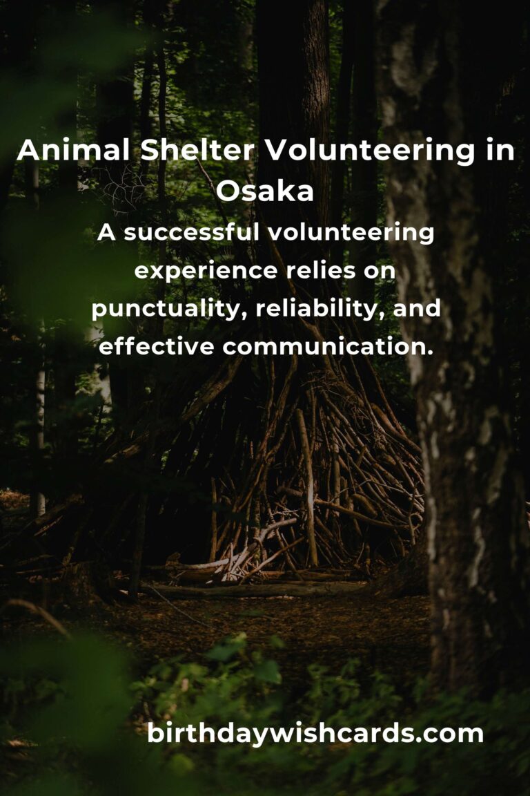 Discover the Best Animal Shelter Volunteer Programs in Osaka