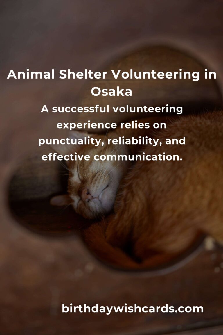 Discover the Best Animal Shelter Volunteer Programs in Osaka