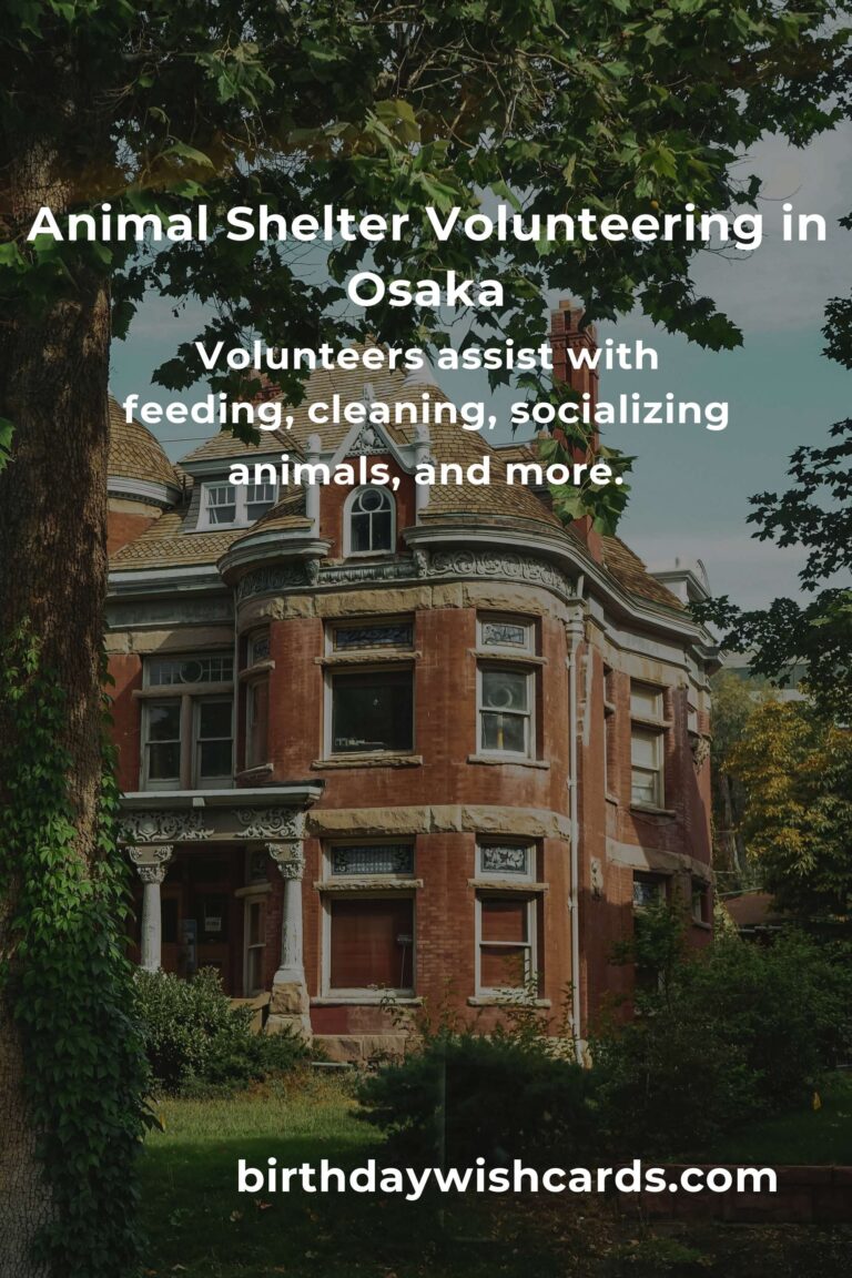 Discover the Best Animal Shelter Volunteer Programs in Osaka