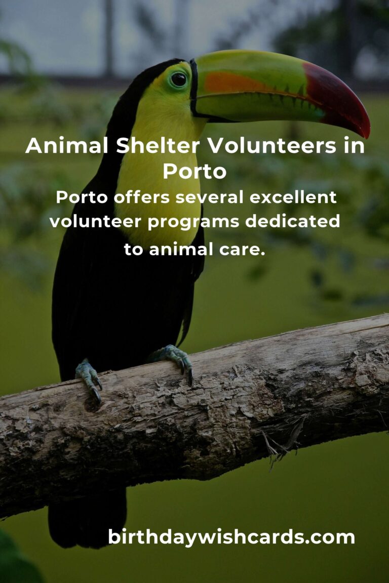 Discover the Best Animal Shelter Volunteer Programs in Porto