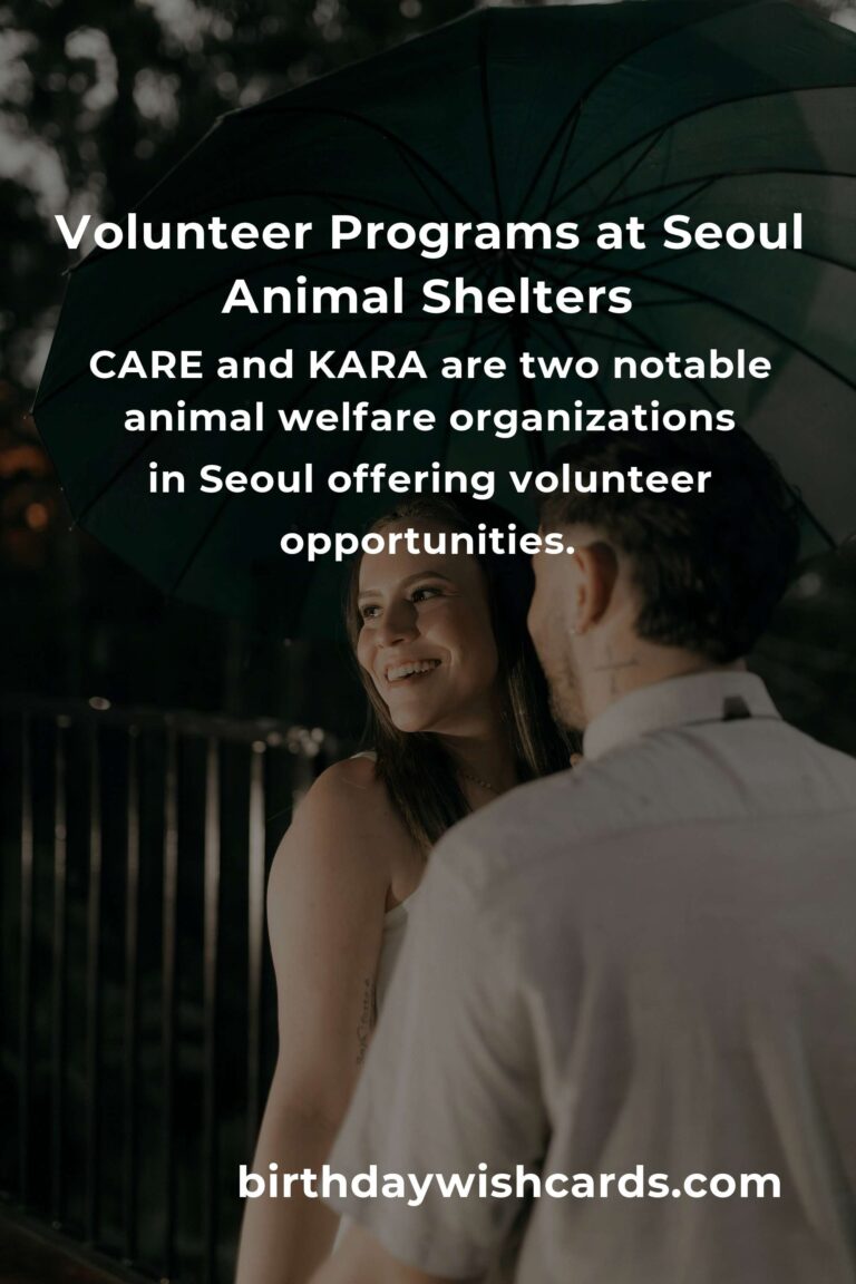 Discover the Best Animal Shelter Volunteer Programs in Seoul