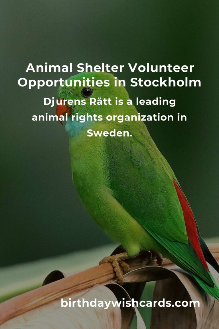 Discover the Best Animal Shelter Volunteer Programs in Stockholm