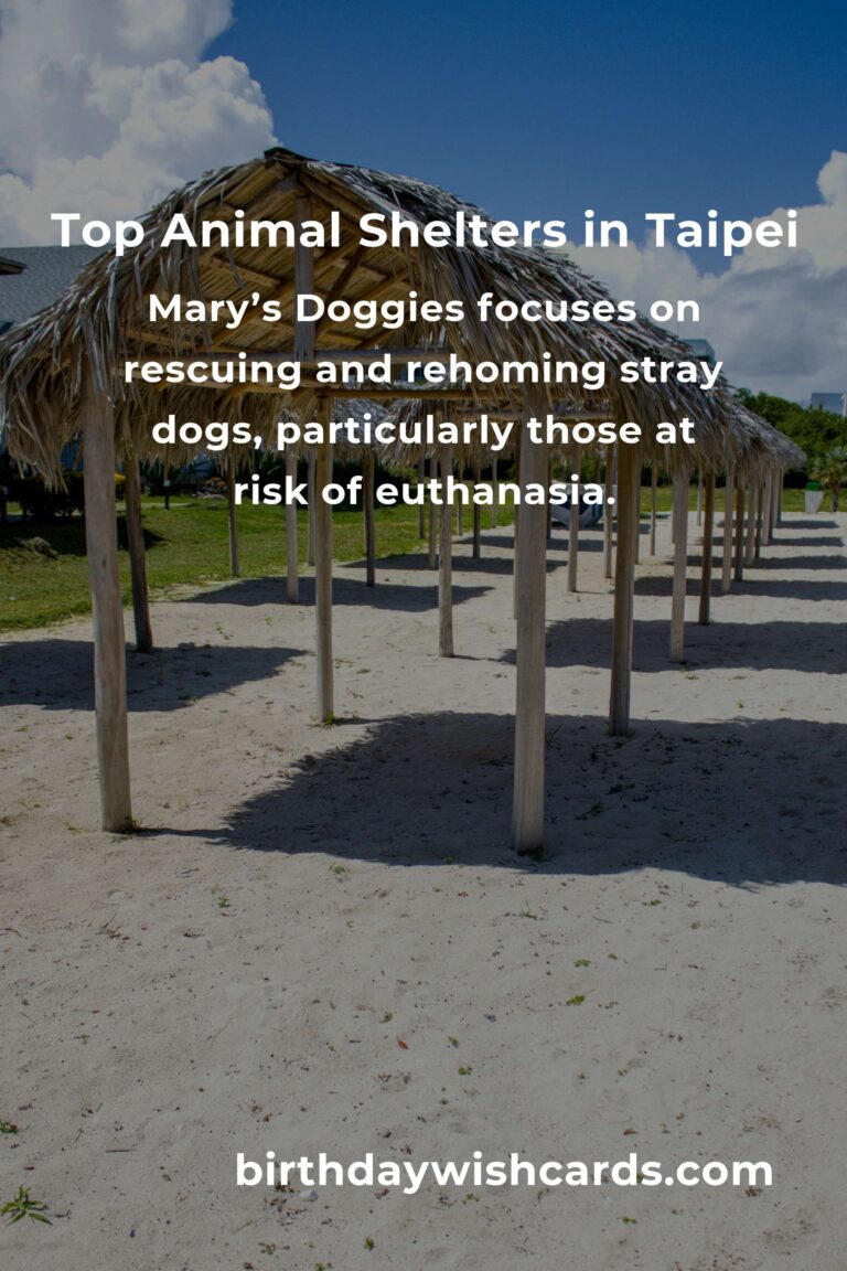Discover the Best Animal Shelter Volunteer Programs in Taipei