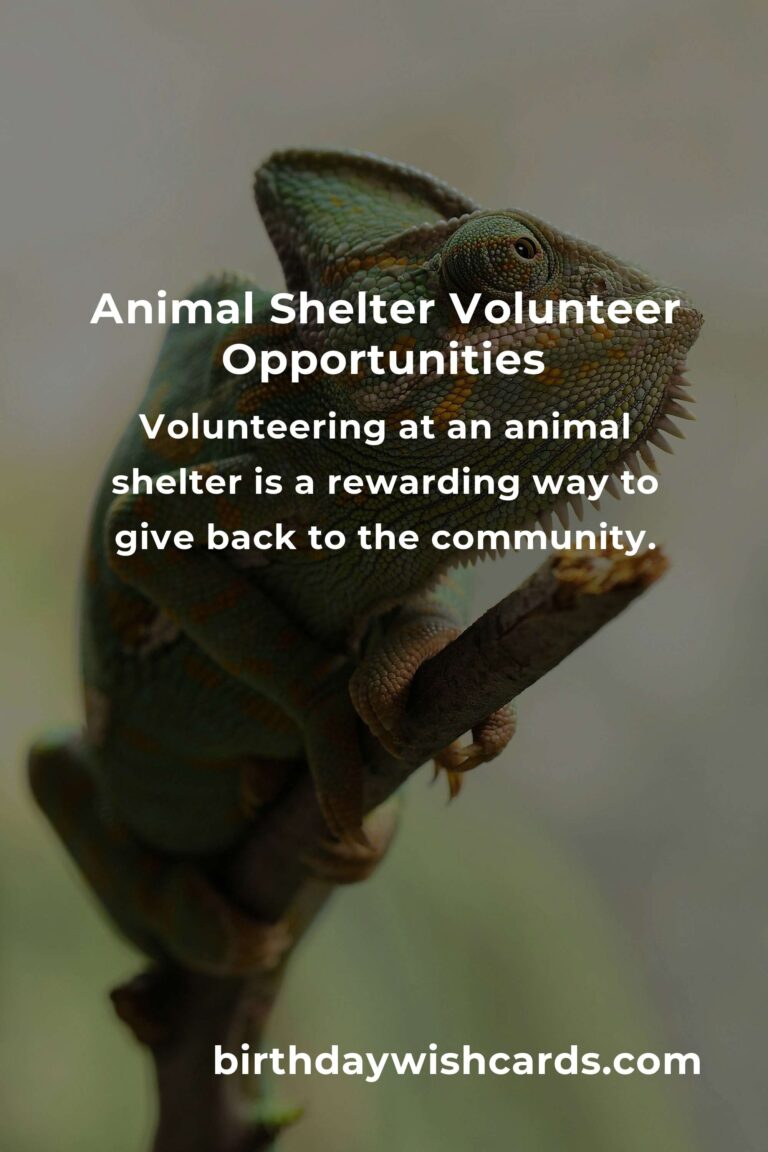 Discover the Best Animal Shelter Volunteer Programs in Tampa