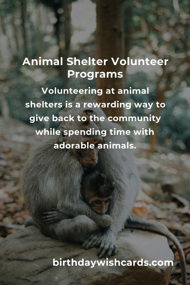 Discover the Best Animal Shelter Volunteer Programs in Tel Aviv