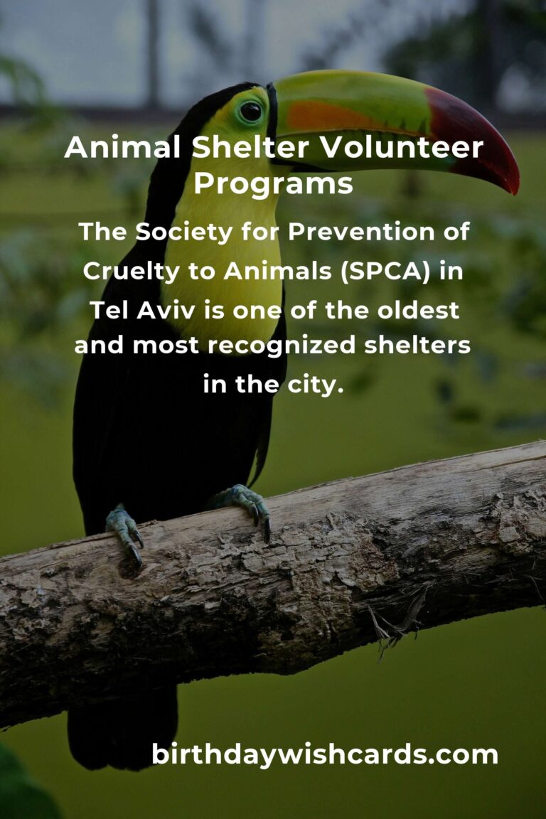 Discover the Best Animal Shelter Volunteer Programs in Tel Aviv