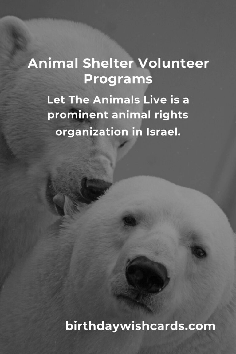 Discover the Best Animal Shelter Volunteer Programs in Tel Aviv