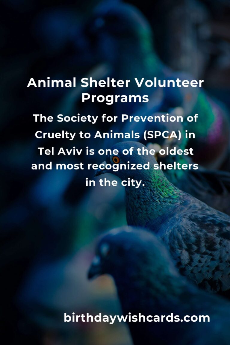 Discover the Best Animal Shelter Volunteer Programs in Tel Aviv