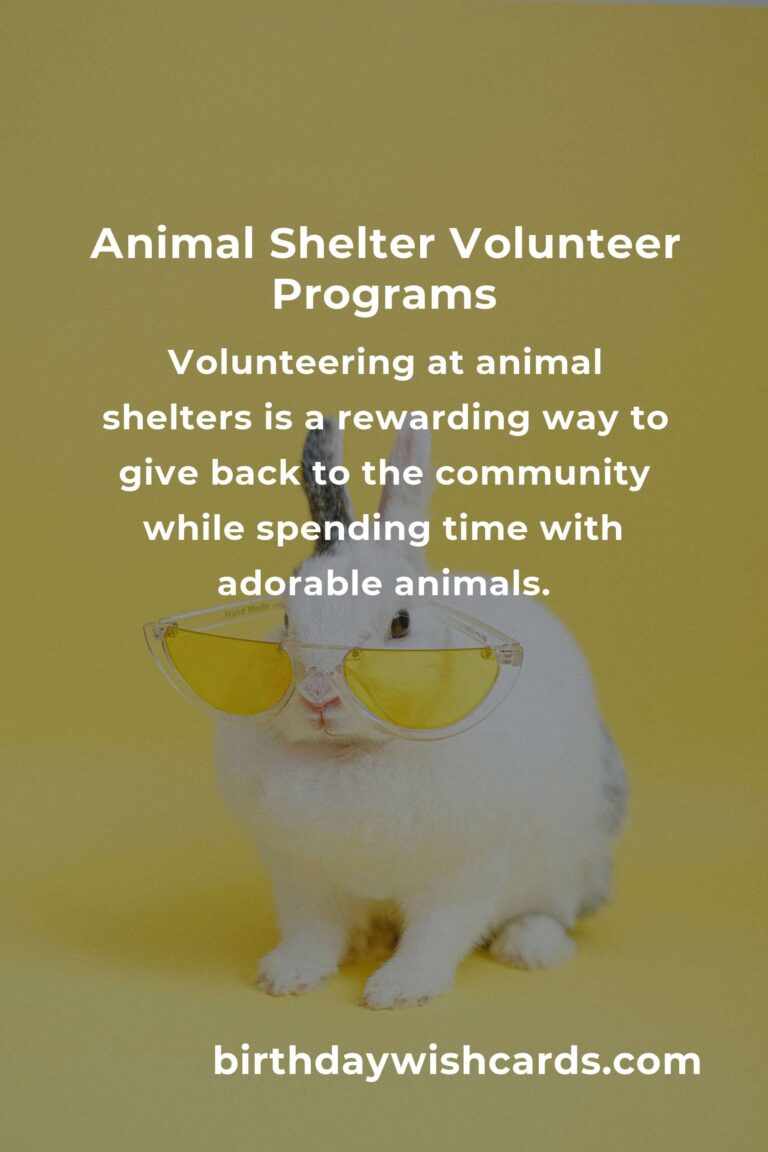 Discover the Best Animal Shelter Volunteer Programs in Tel Aviv