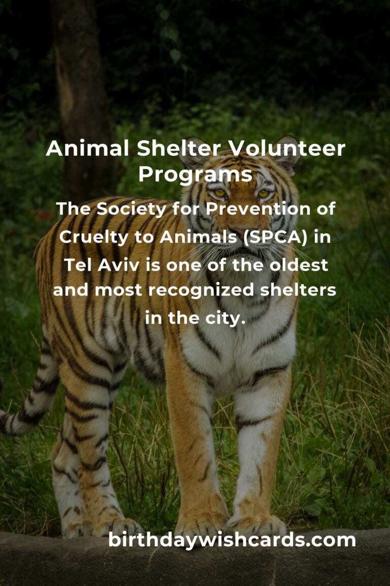 Discover the Best Animal Shelter Volunteer Programs in Tel Aviv