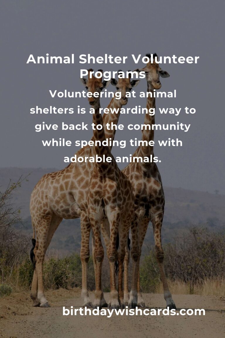 Discover the Best Animal Shelter Volunteer Programs in Tel Aviv