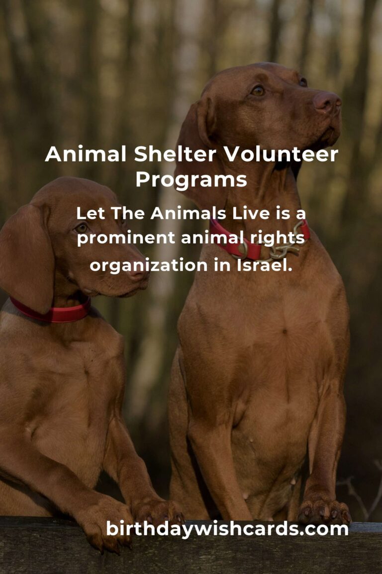 Discover the Best Animal Shelter Volunteer Programs in Tel Aviv