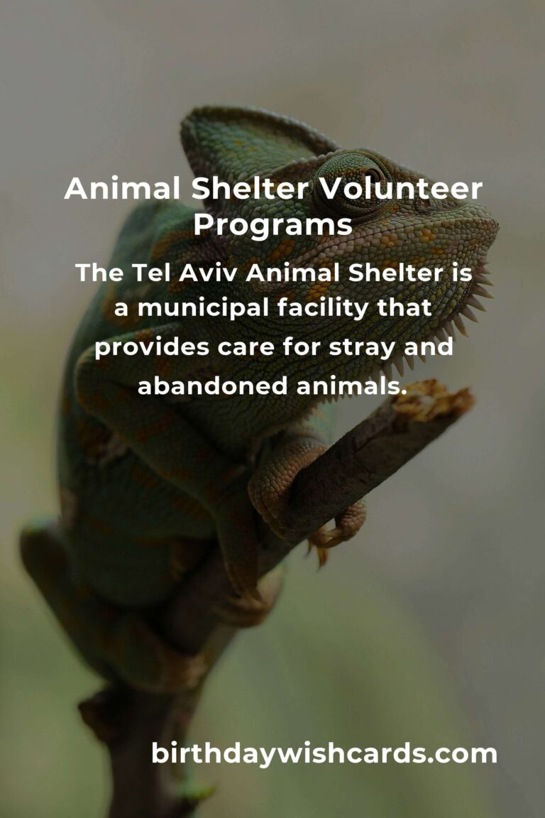 Discover the Best Animal Shelter Volunteer Programs in Tel Aviv