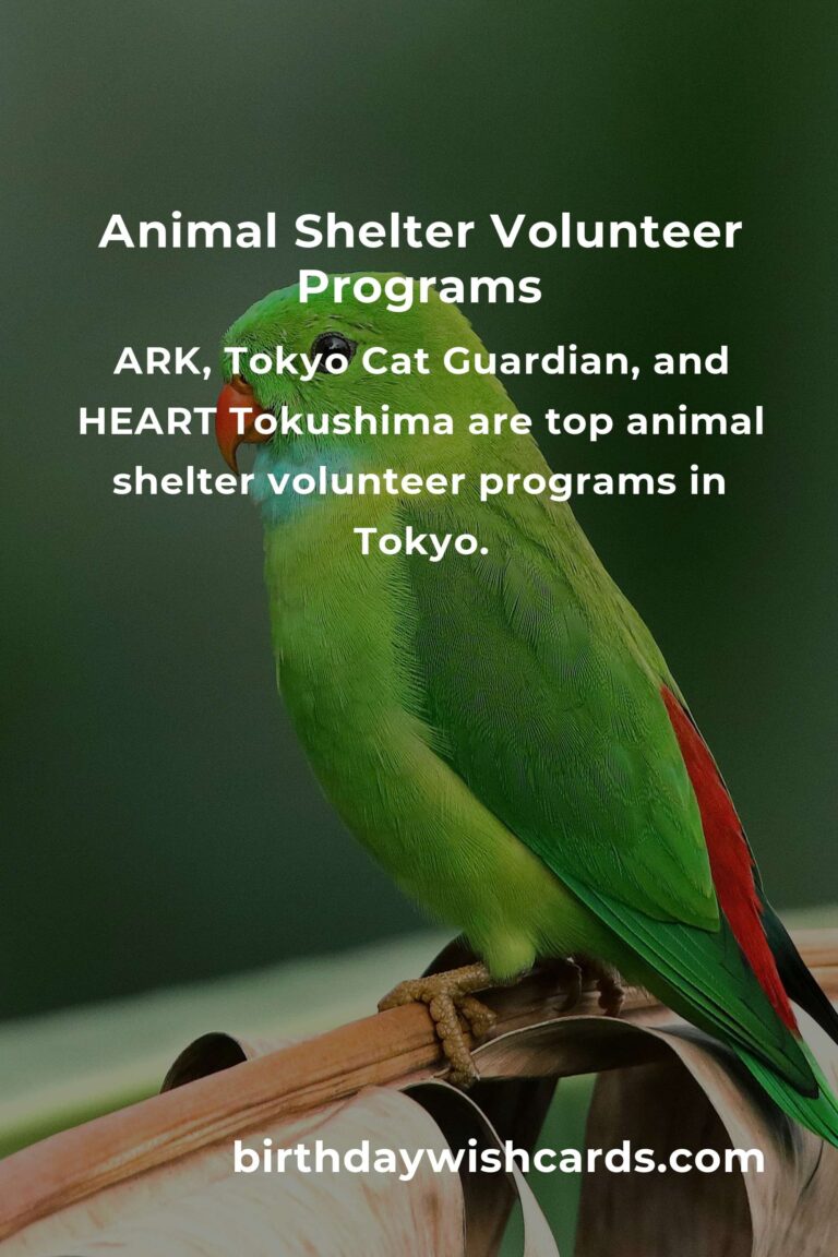 Discover the Best Animal Shelter Volunteer Programs in Tokyo
