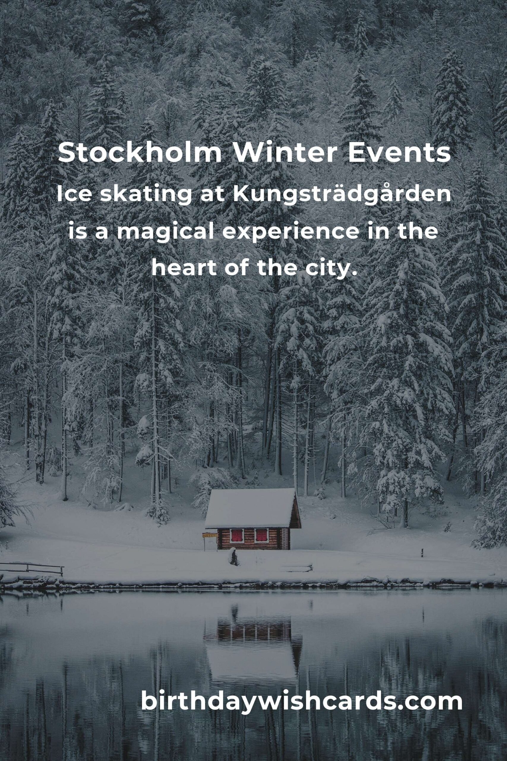 Discover the Best Winter Events in Stockholm for Young Adults