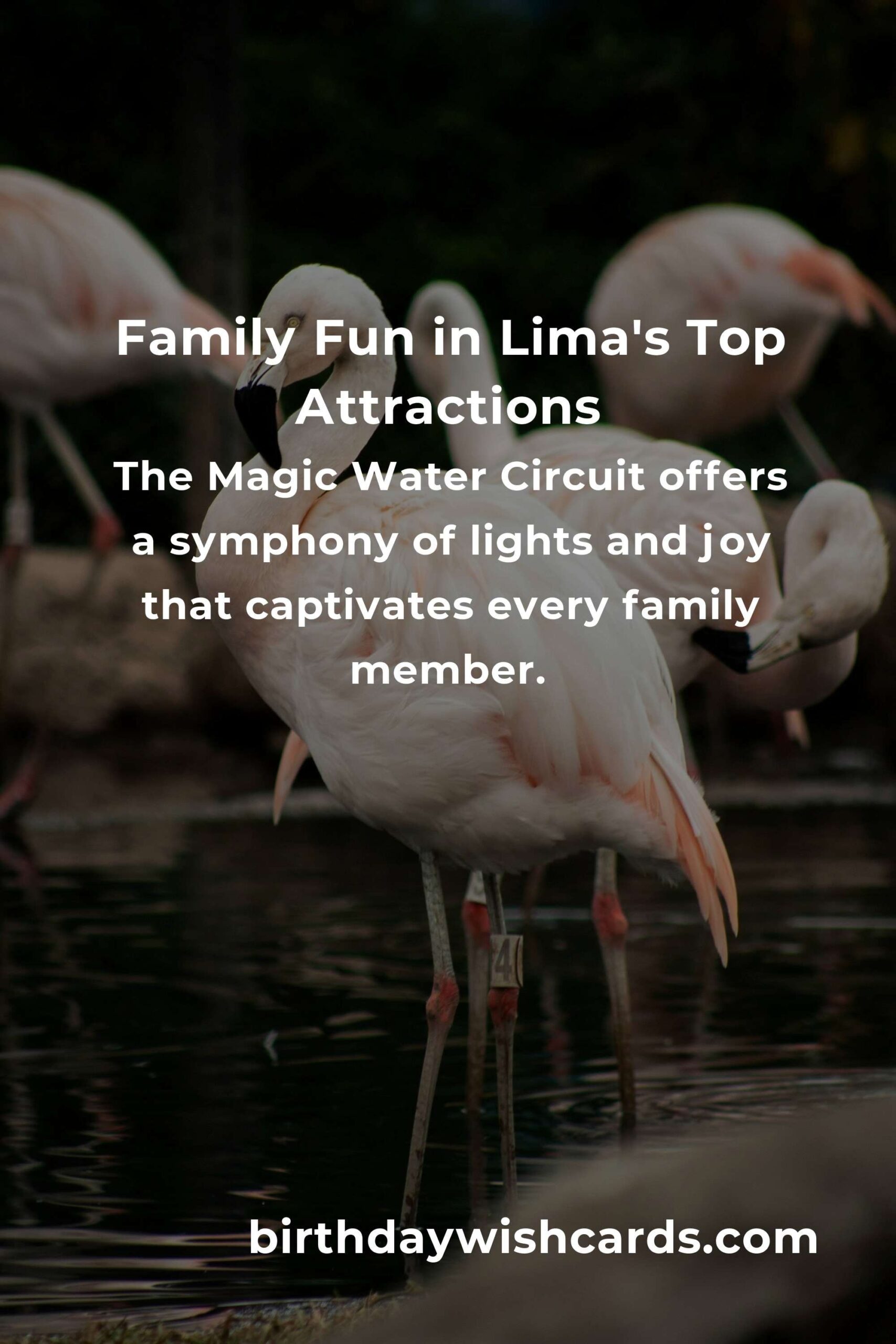 Discover the Heart of Lima: Unforgettable Family Destinations