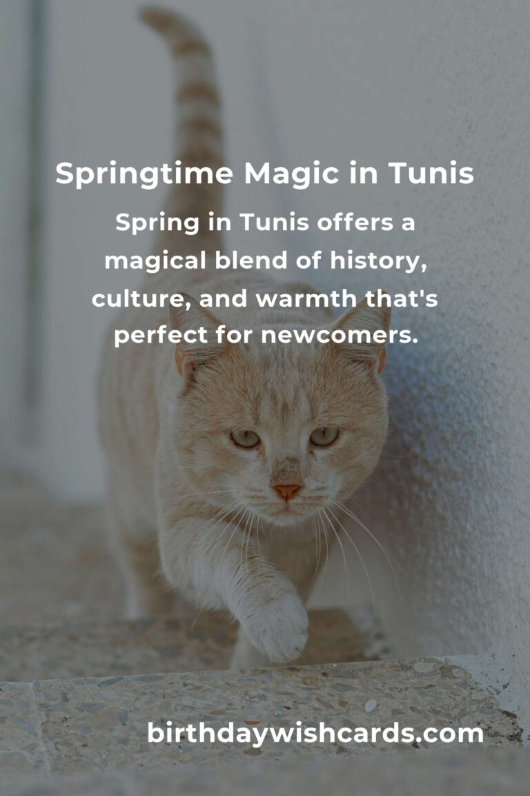 Discover the Heart of Tunis: Top Spring Events for Beginners