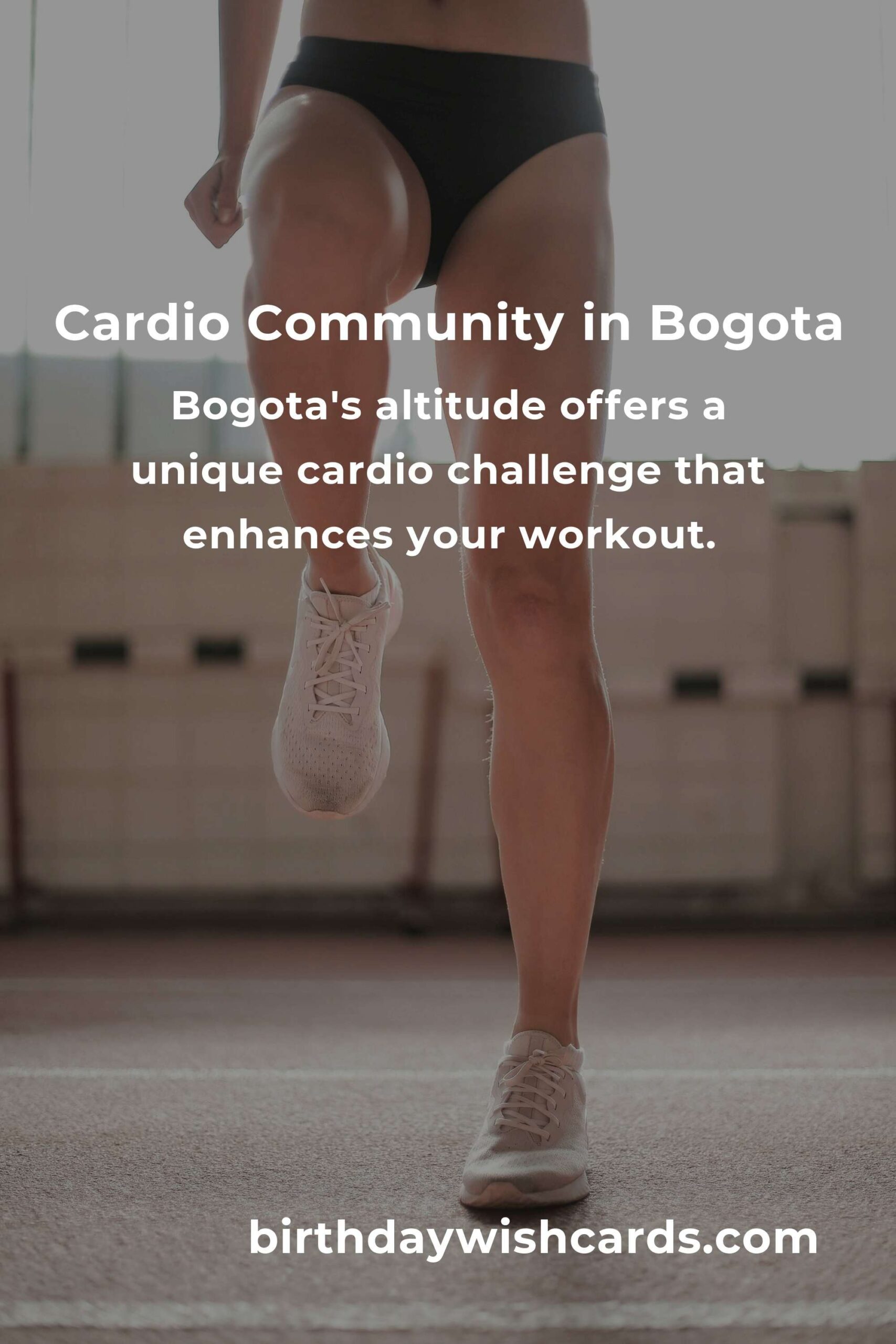 Discover the Heartbeat of Bogota: A Beginner’s Guide to Cardio Workouts