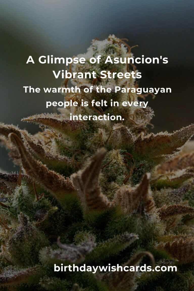 Discover the Heartbeat of Paraguay: Your Ultimate Guide to City Breaks in Asuncion