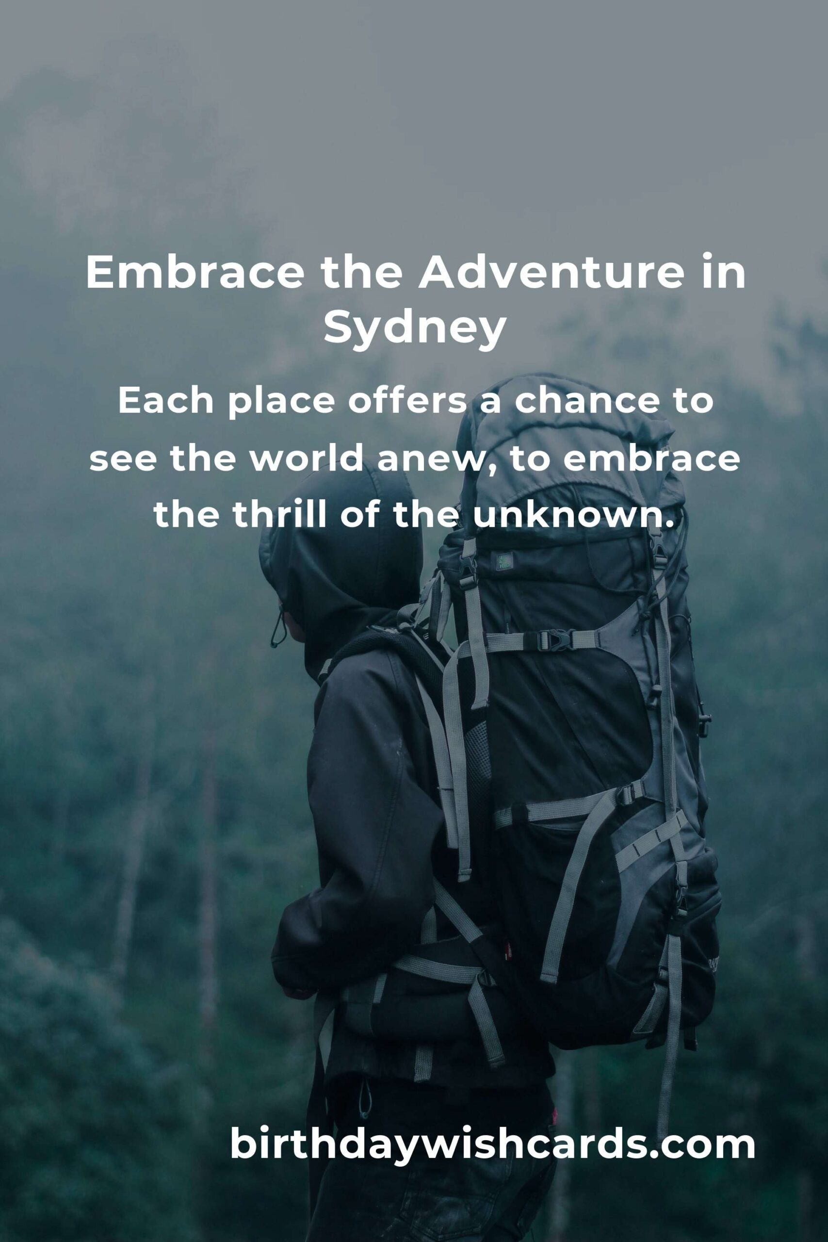 Discover the Heartbeat of Sydney: 29 Adventure Spots That Will Change Your Life