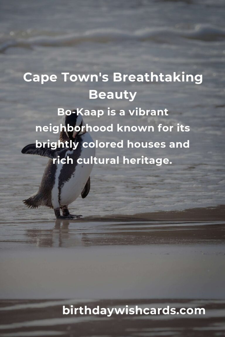 Discover the Heartbeat of the Mother City: Top 19 City Breaks in Cape Town