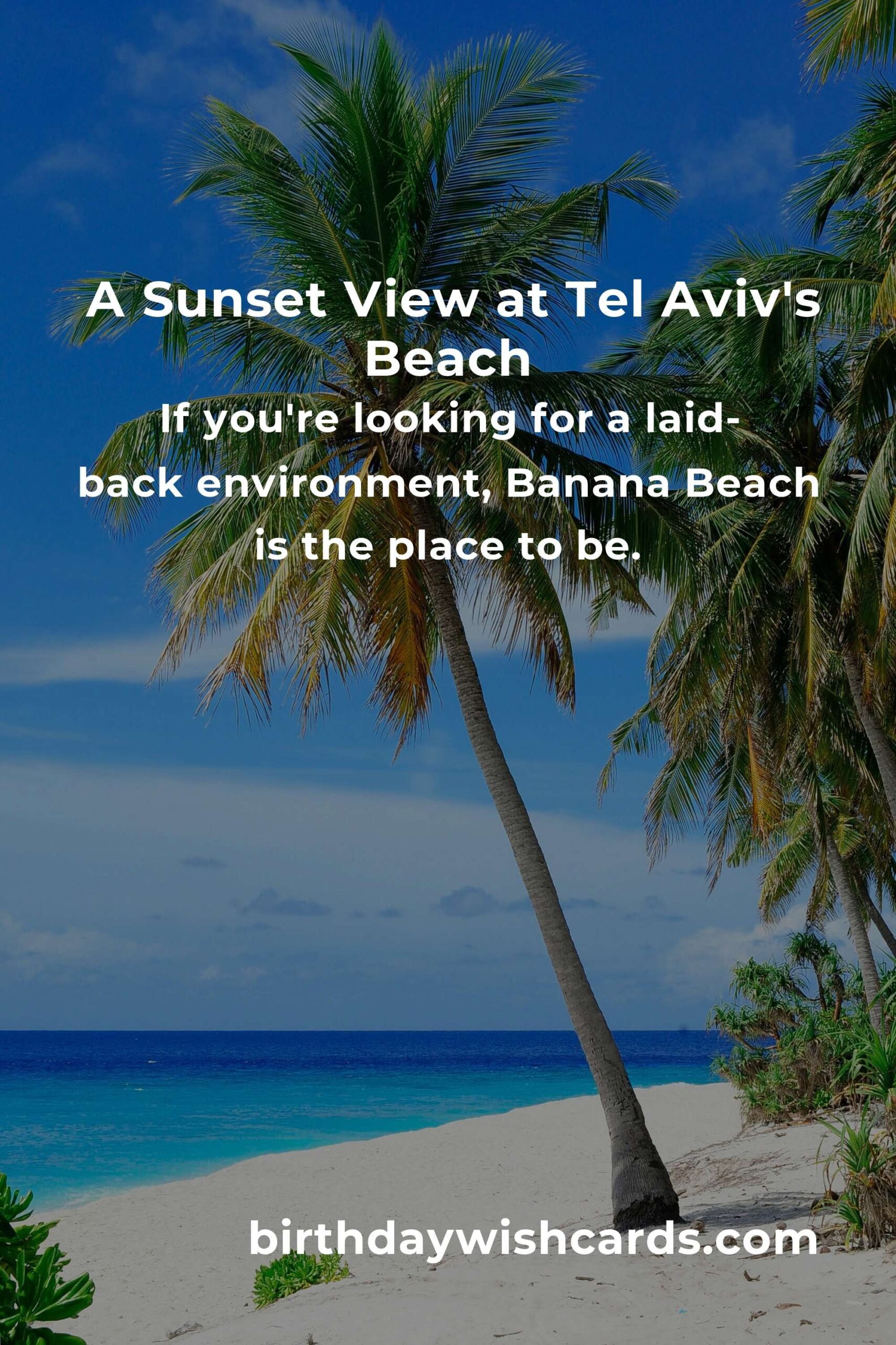 Discover the Heartfelt Magic of Tel Aviv’s 17 Best Beach Vacations