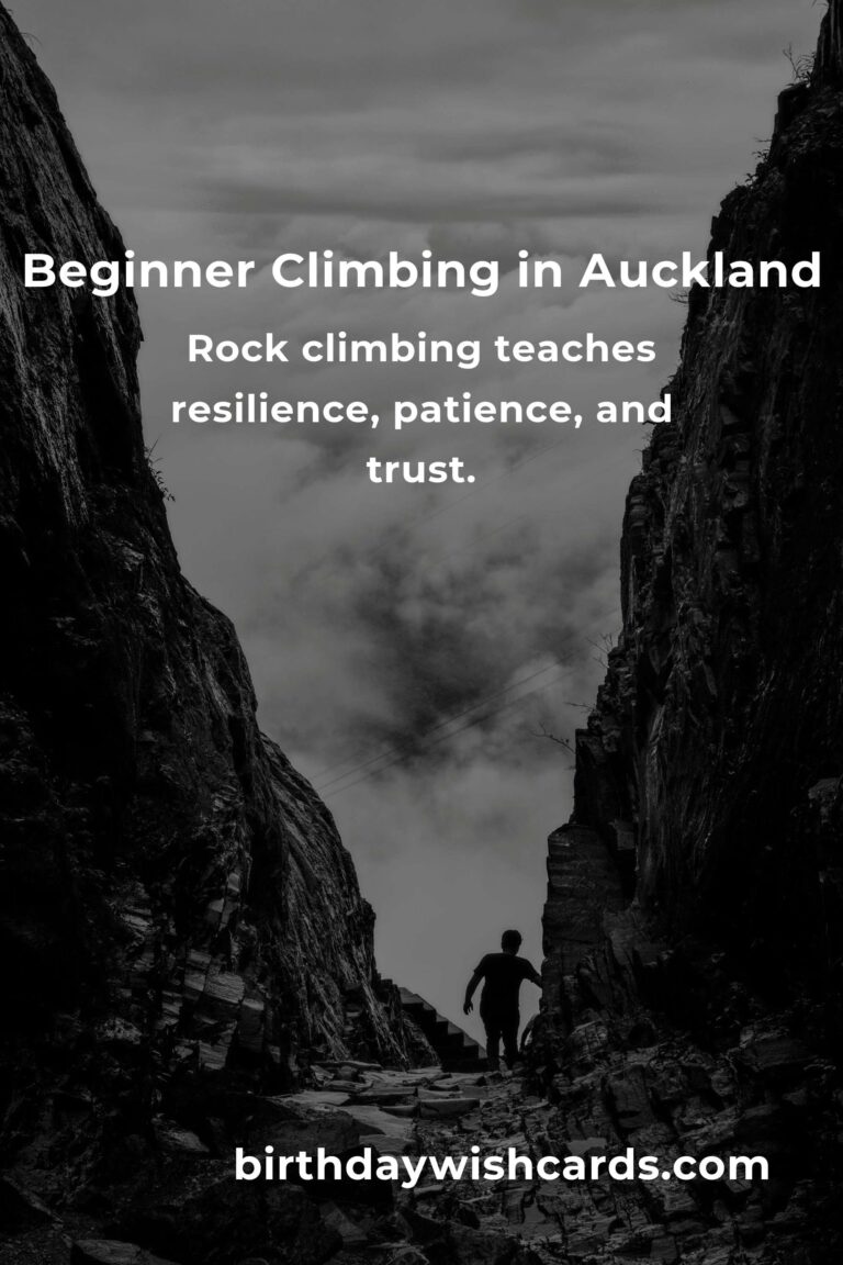 Discover the Thrill: A Beginner's Guide to Rock Climbing in Auckland