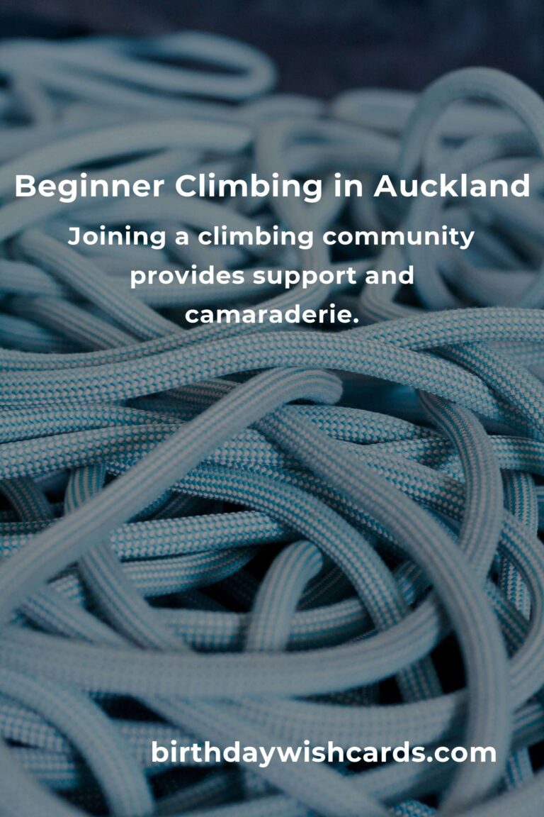 Discover the Thrill: A Beginner's Guide to Rock Climbing in Auckland