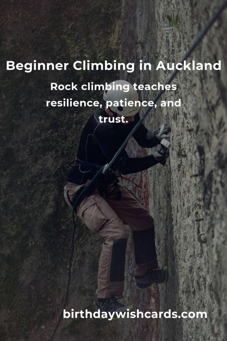 Discover the Thrill: A Beginner's Guide to Rock Climbing in Auckland